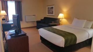 Quality Hotel & Suites - 2