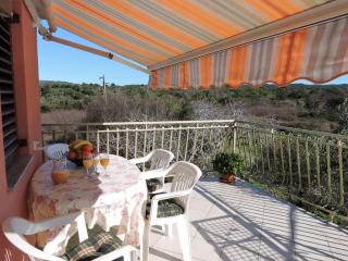 Apartments Slavica - Veli Rat - 4