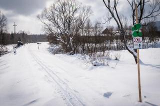 Krzywy Zakątek - Cisna - 2