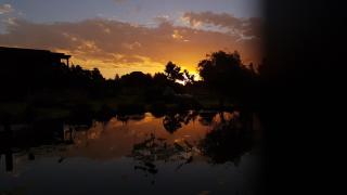 Las Rosas - 4