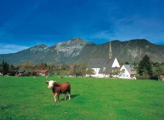 Gästehaus Färbinger - Bayerisch Gmain - 0