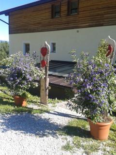 Pension Ferienwohnungen Marchnerhof - 2