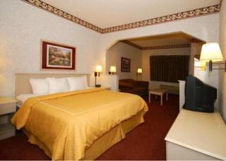 Comfort Suites Columbus Expo Center - 5