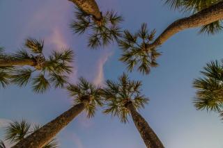 Gulf Shores 205 - 1
