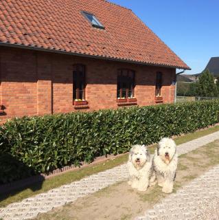 Ferienwohnung Kranichnest 1 - Kargow - 0
