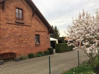 Ferienwohnung Kranichnest 1 - Kargow - 9