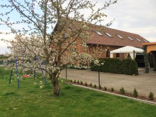 Ferienwohnung Kranichnest 1 - Kargow - 8