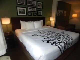 Sleep Inn & Suites near Liberty Place I-65 - Evergreen - 2