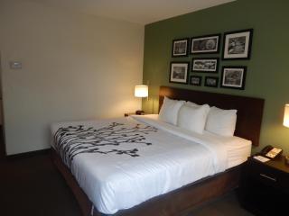 Sleep Inn & Suites near Liberty Place I-65 - Evergreen - 4