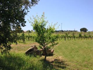 Residenza I Filari - 2