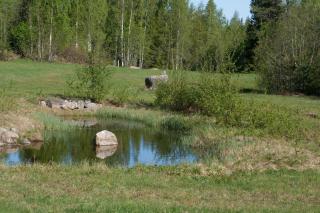 Riimantupa - Kalmari - 5