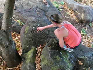 Finca Ometepe - Balgue - 2
