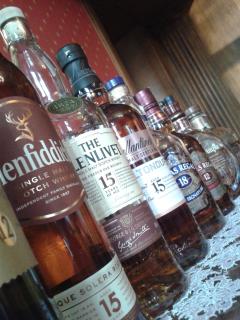 Rezydencja Janków - 1