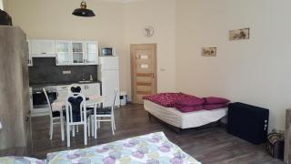 Apartment Marienbad Hlavni 131/50 - Mariánské Lázně - 1