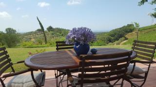 Podere Serra destri - 0