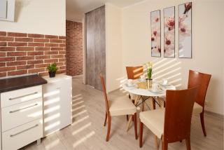 Apartament Winnica Centrum - Zielona Góra - 3