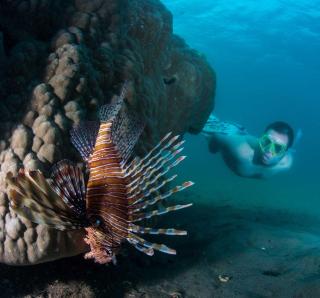 Machangulo Beach Lodge - Santa Maria - 1