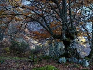 La Casona de Con - 7