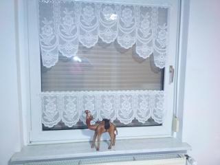 Ferienwohnung Sowade - 6
