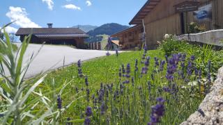 Pension Biobauernhof Hinteraltensberg - Auffach - 2