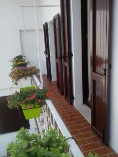 La Casa Bianca - Roe - 4
