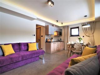 VIP APARTAMENTY VILLA GÓRSKIE KLIMATY - Zakopane - 1