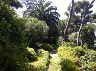 Villa Tregia - Tellaro - 4