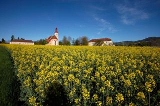 Gasthof Pack "Zur Lebing Au" - Hartberg - 2