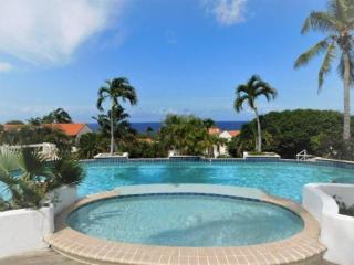 Royal Palm Resort Curacao Geweldig zeezicht - Willemstad - 3
