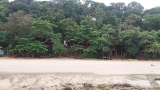 Jungle Hill Beach Bungalow - 2