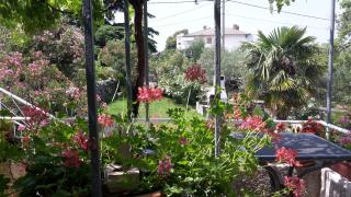 Apartments Sabina i Grapes - 1