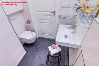 AIR CONDITIONED Terrace Apartment Prague - Praga - 5