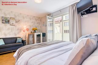 AIR CONDITIONED Terrace Apartment Prague - Praga - 6