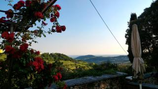 Antica Corte Panego - Negrar - 8