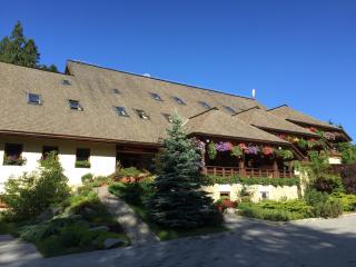 Complex Turistic Bucovina - Suceviţa - 6