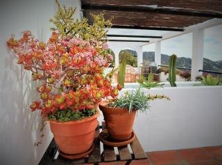 Holiday Home Tranquilidad - Arenas - 1