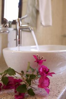 Il Viaggio Verde - 5