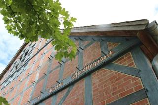 Entspannung in der schönen Lüneburger Heide - Göhrde - 0