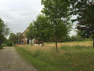 Entspannung in der schönen Lüneburger Heide - Göhrde - 2