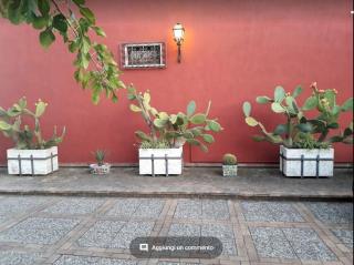 Villa Chiarenza Maison d'Hotes - Giardini-Naxos - 4