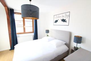 Au Bonheur des Anges Appartement 2 chambres avec terrasse - Colmar - 5