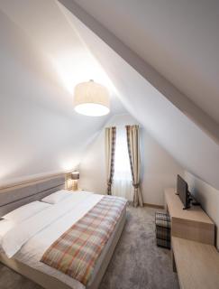 Chalet Alpina - Moroeni - 1