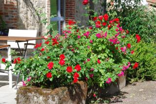 Les Maisons de Concasty - Boisset - 1