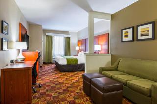 Comfort Suites Lake Charles - Lake Charles - 5
