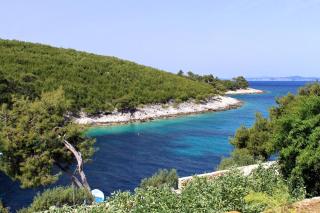 Apartments by the sea Cove Zastupac, Hvar - 8761 - 9