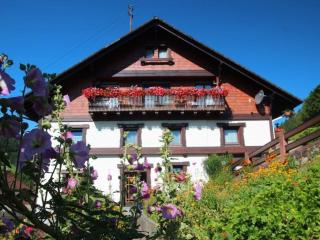 Gästehaus Heimenberg - Bad Rippoldsau-Schapbach - 6