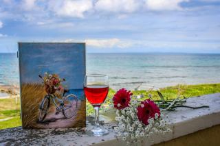 Pelagion II Sea Coral - Beachfront holiday home - Kipseli - 0