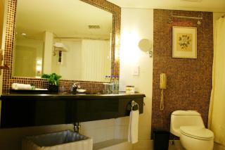 Radisson Collection Hotel, Yangtze Shanghai - Shanghai - 9
