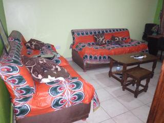 Shared Apartment in Kampala - 1