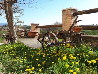 Terre Boscaratto - Susegana - 7